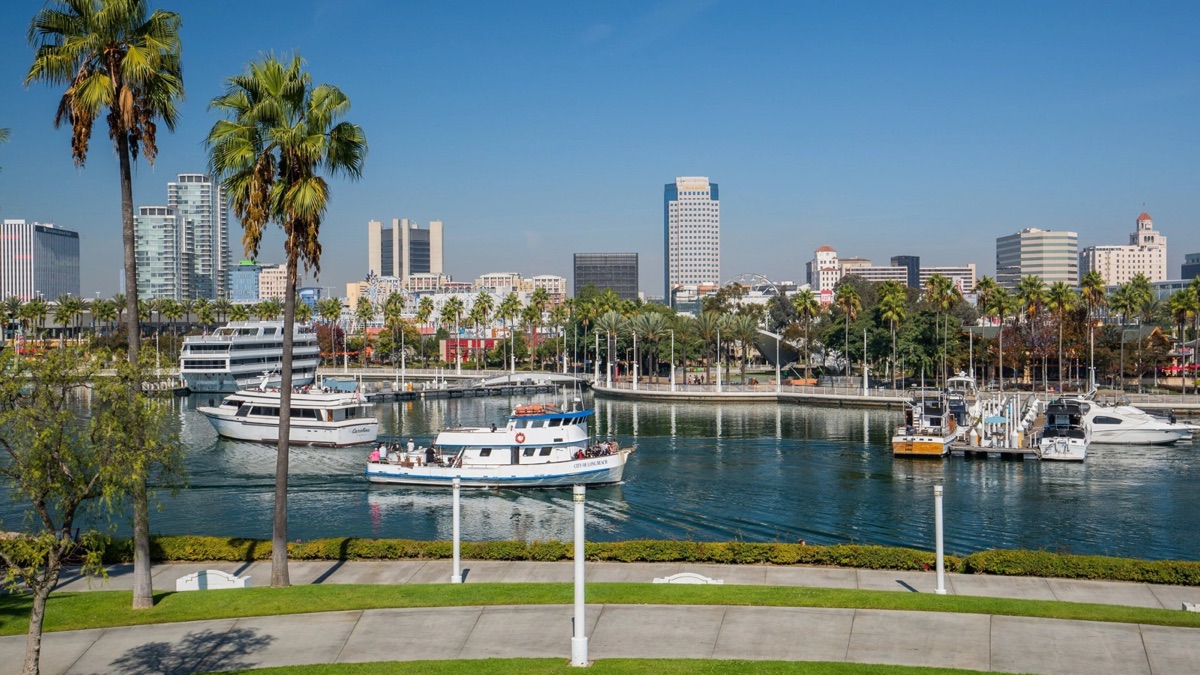 Long Beach waterfront with palm trees, boats, and downtown skyline